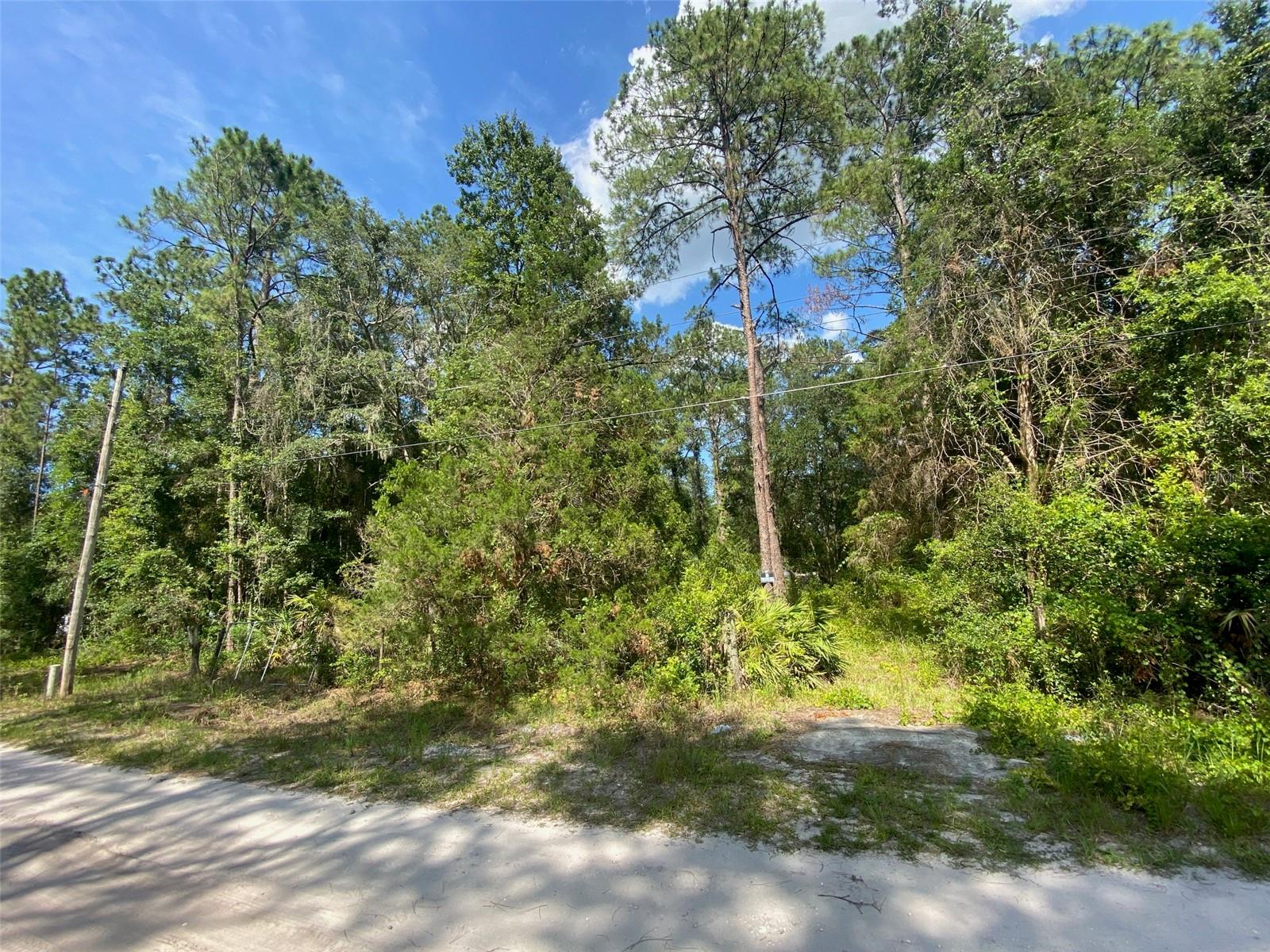 Photo of 13701 NE 66TH AVENUE CITRA FL 32113