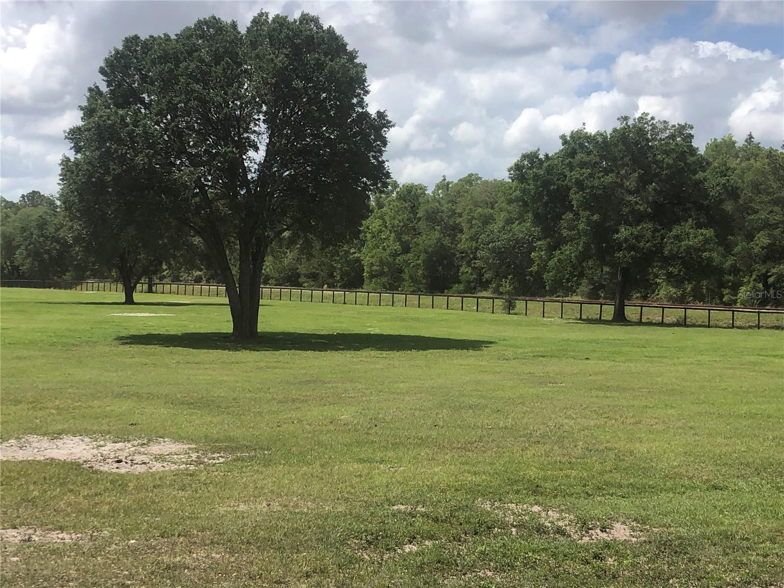 Photo of 30TH STREET MORRISTON FL 32668