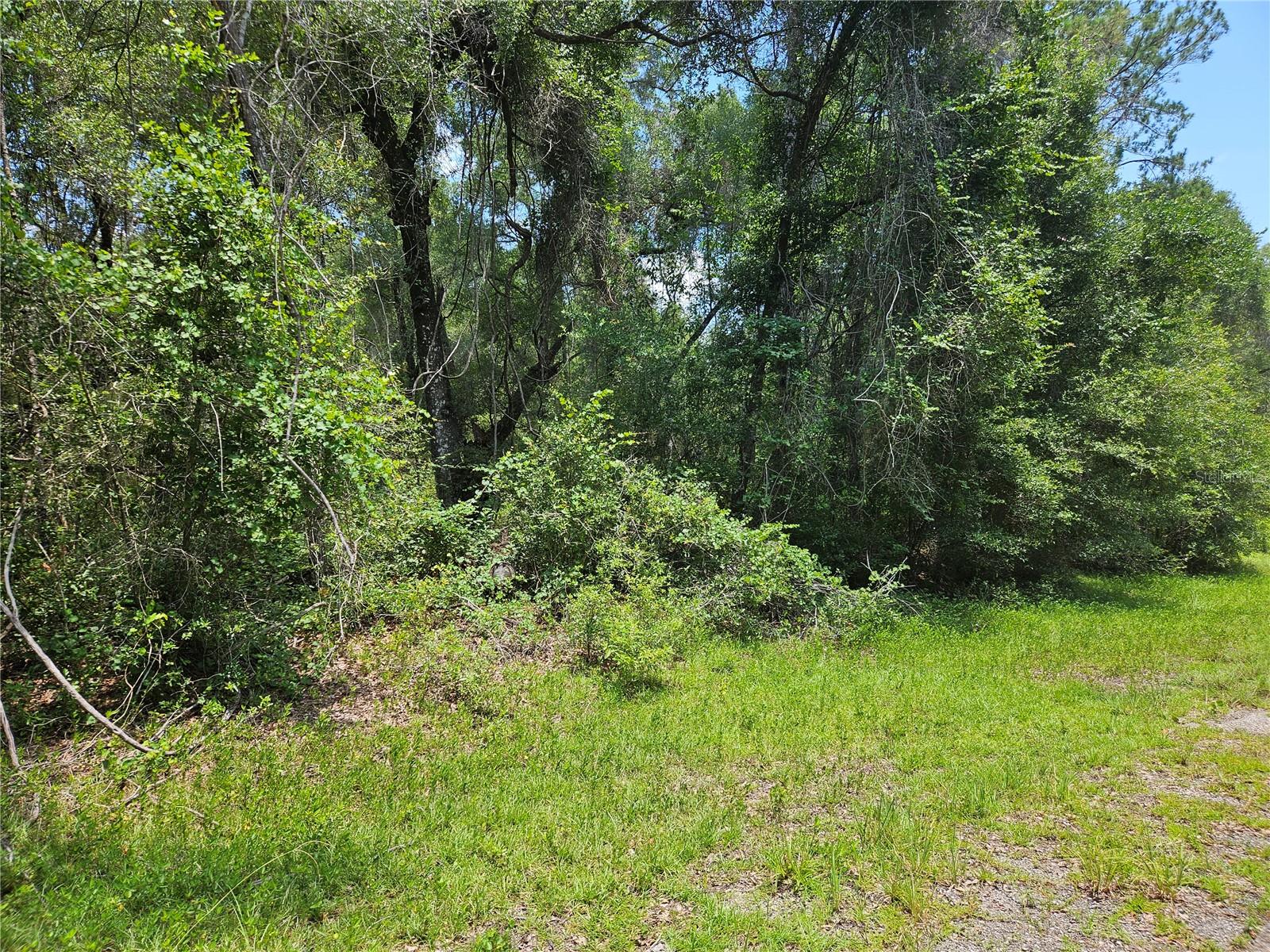 Photo of 1139 KINGSDALE ST. DUNNELLON FL 34434