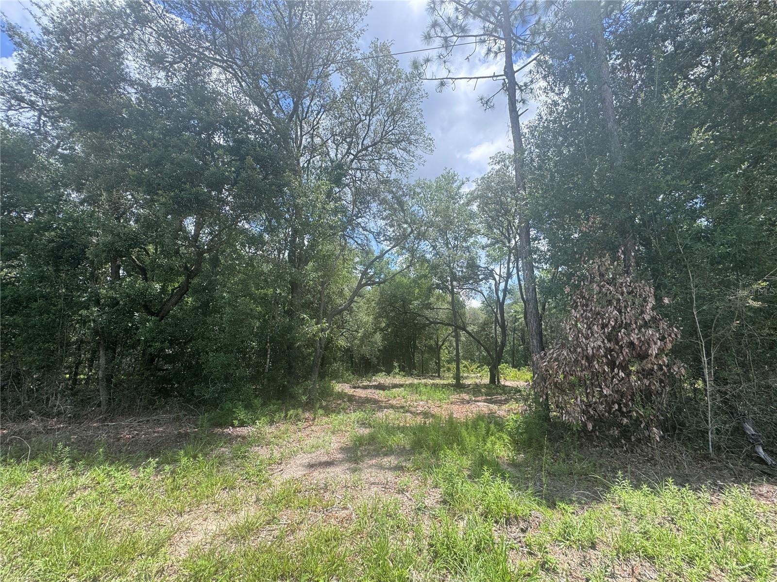 Photo of 751 NE 139TH AVENUE WILLISTON FL 32696
