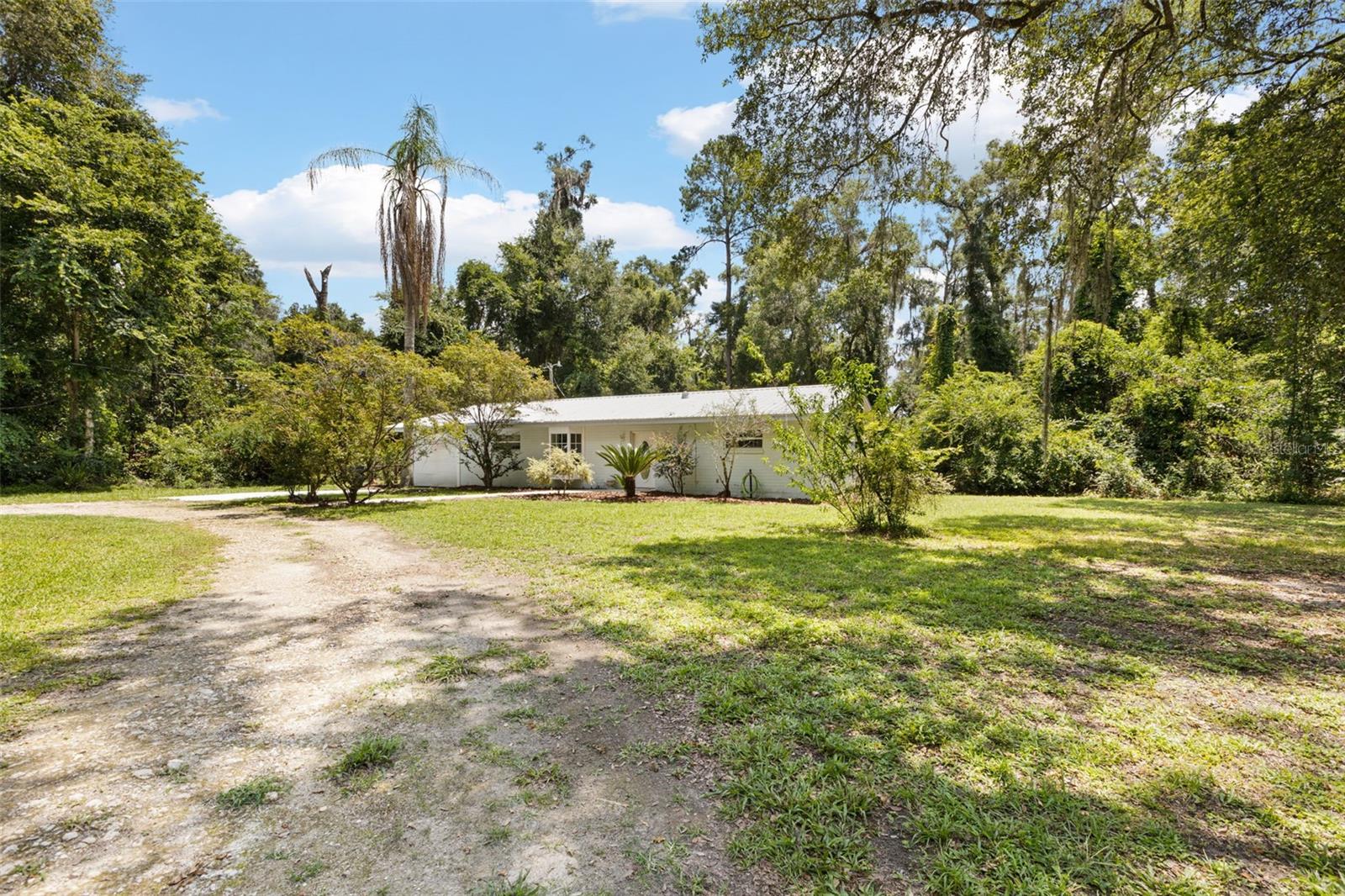 Photo of 3151 NE 176TH TERRACE WILLISTON FL 32696