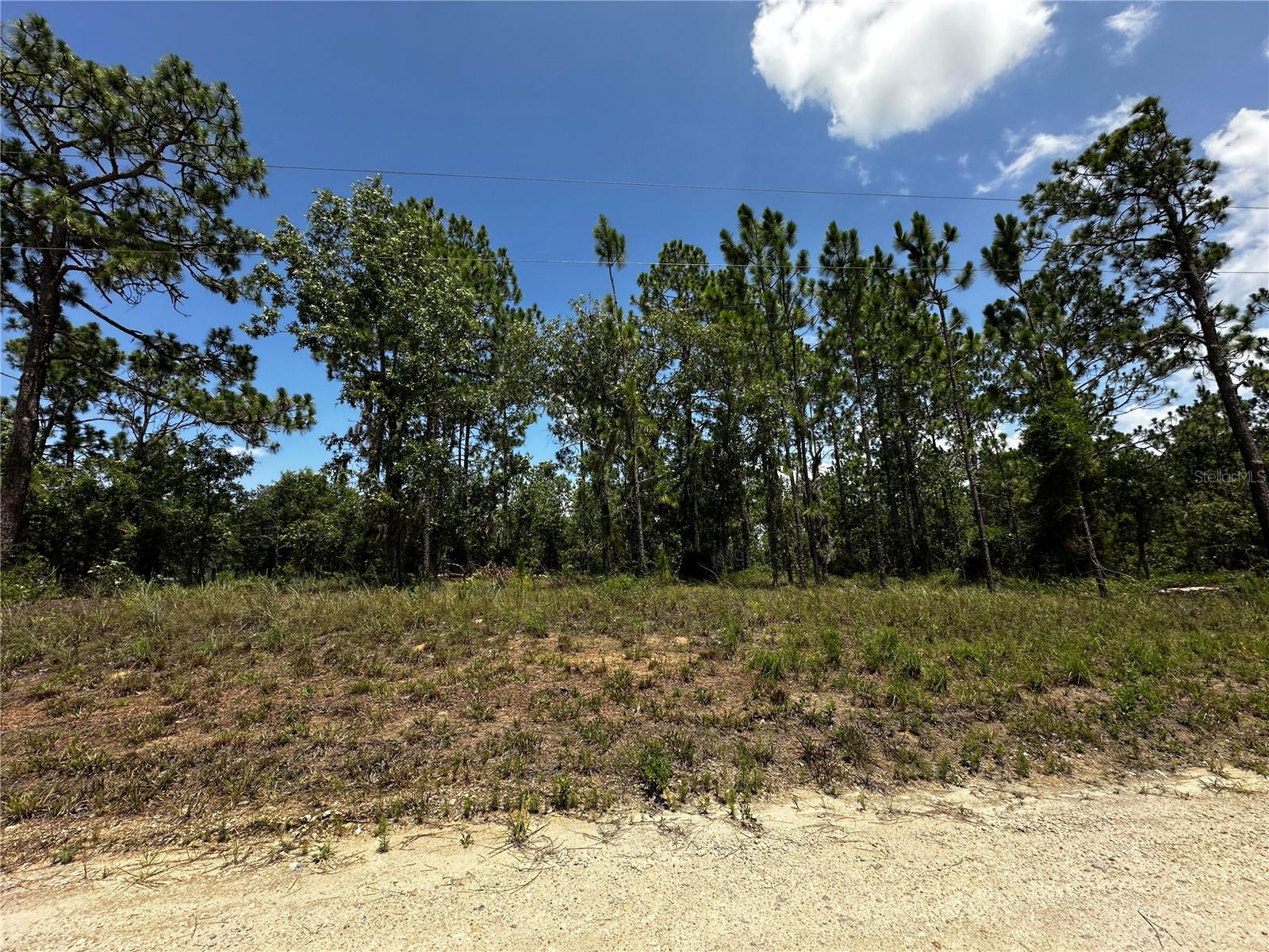 Photo of 150 SE 144TH AVENUE WILLISTON FL 32696