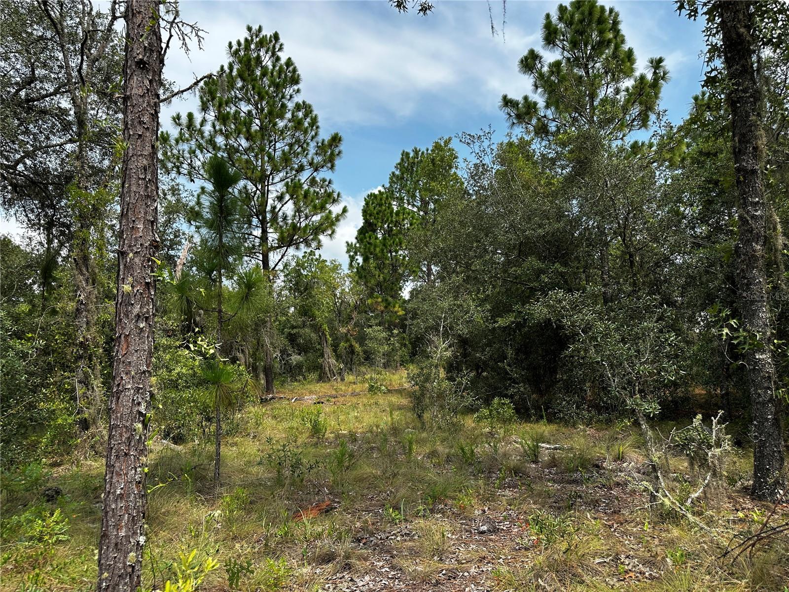 Photo of 150 SE 144TH AVENUE WILLISTON FL 32696