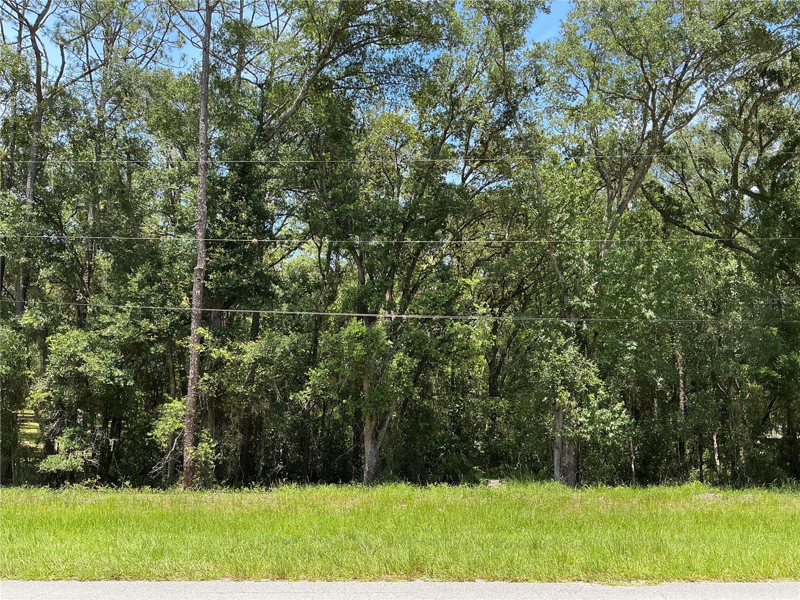 Photo of SW 102ND ST ROAD DUNNELLON FL 34431