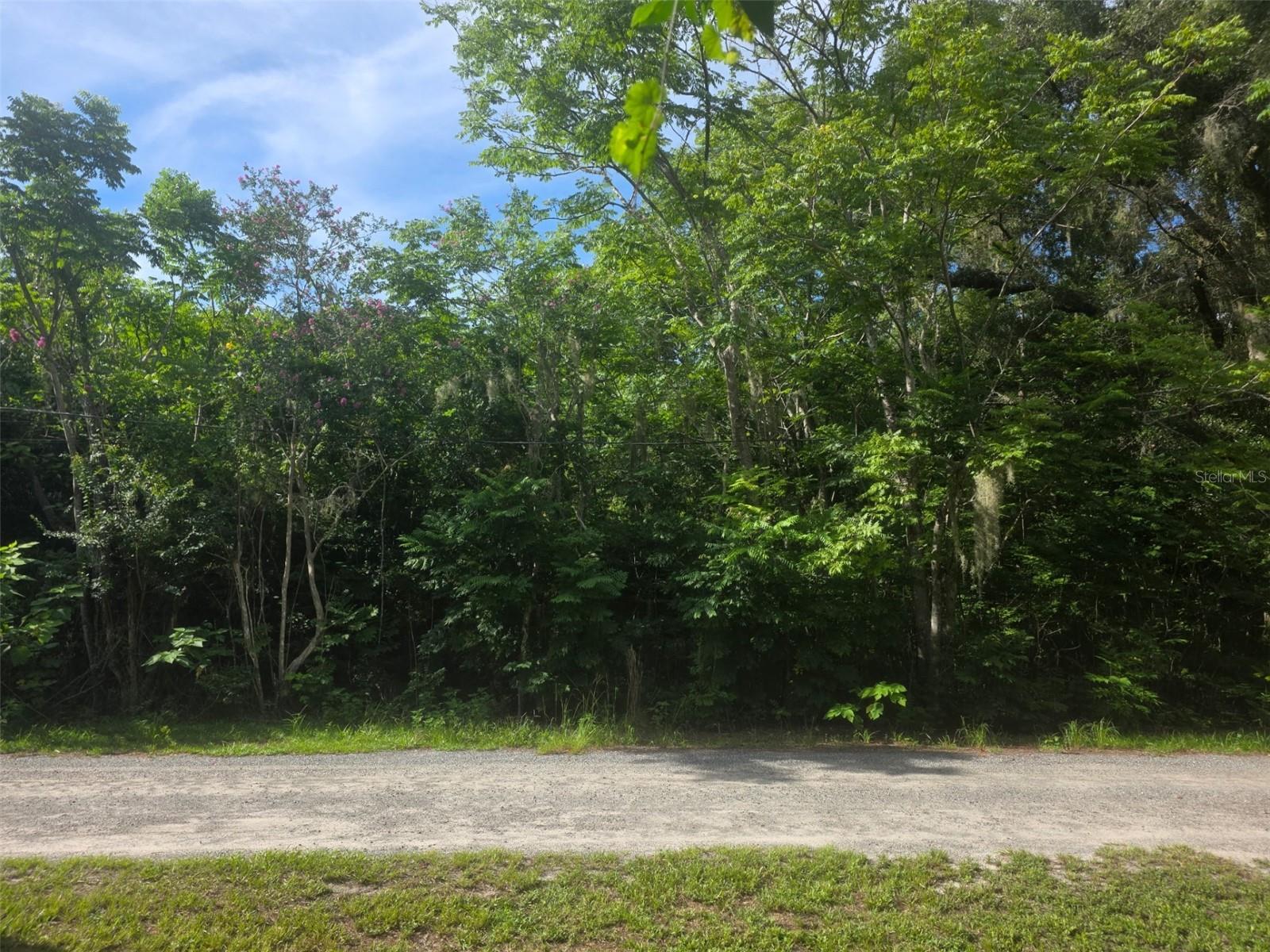 Photo of 6601 SE 119TH STREET BELLEVIEW FL 34420