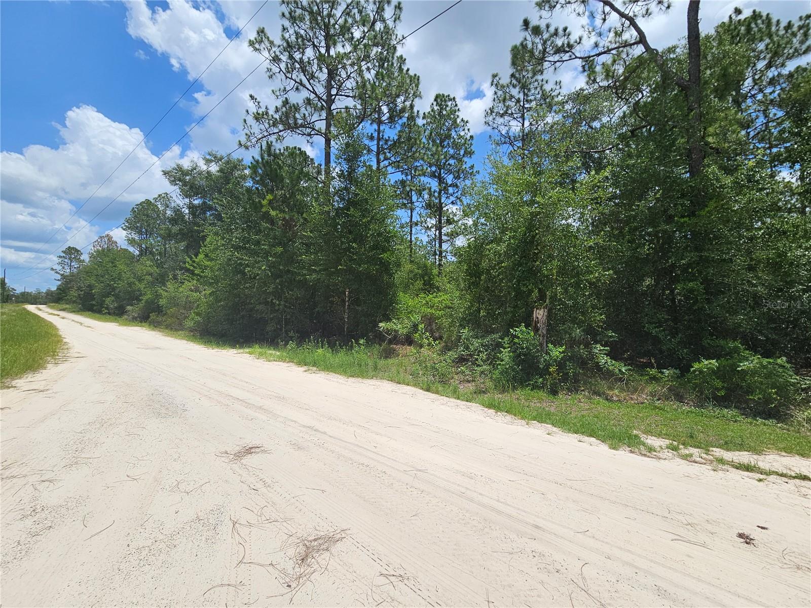 Photo of 0000 NE 40TH LANE WILLISTON FL 32696