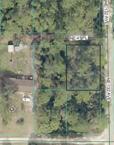 Photo of NE 41ST PLACE SILVER SPRINGS FL 34488
