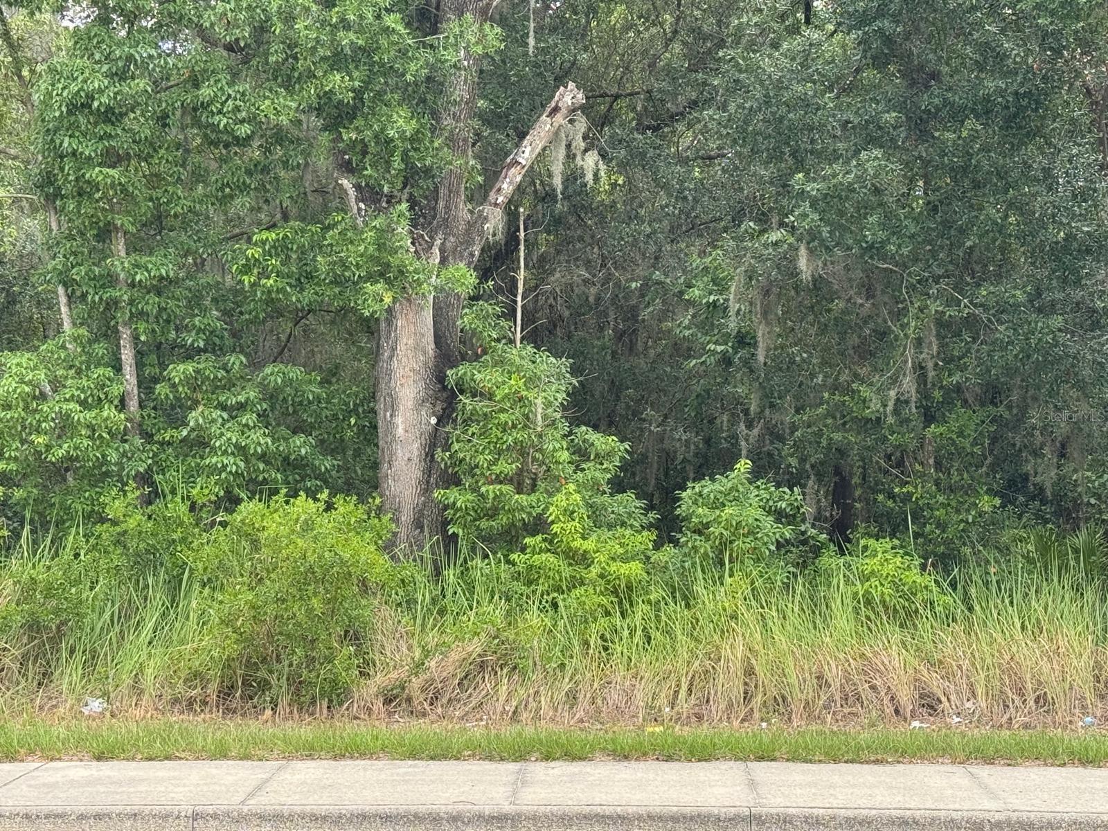 Photo of SE 112 TERRACE OCALA FL 34472