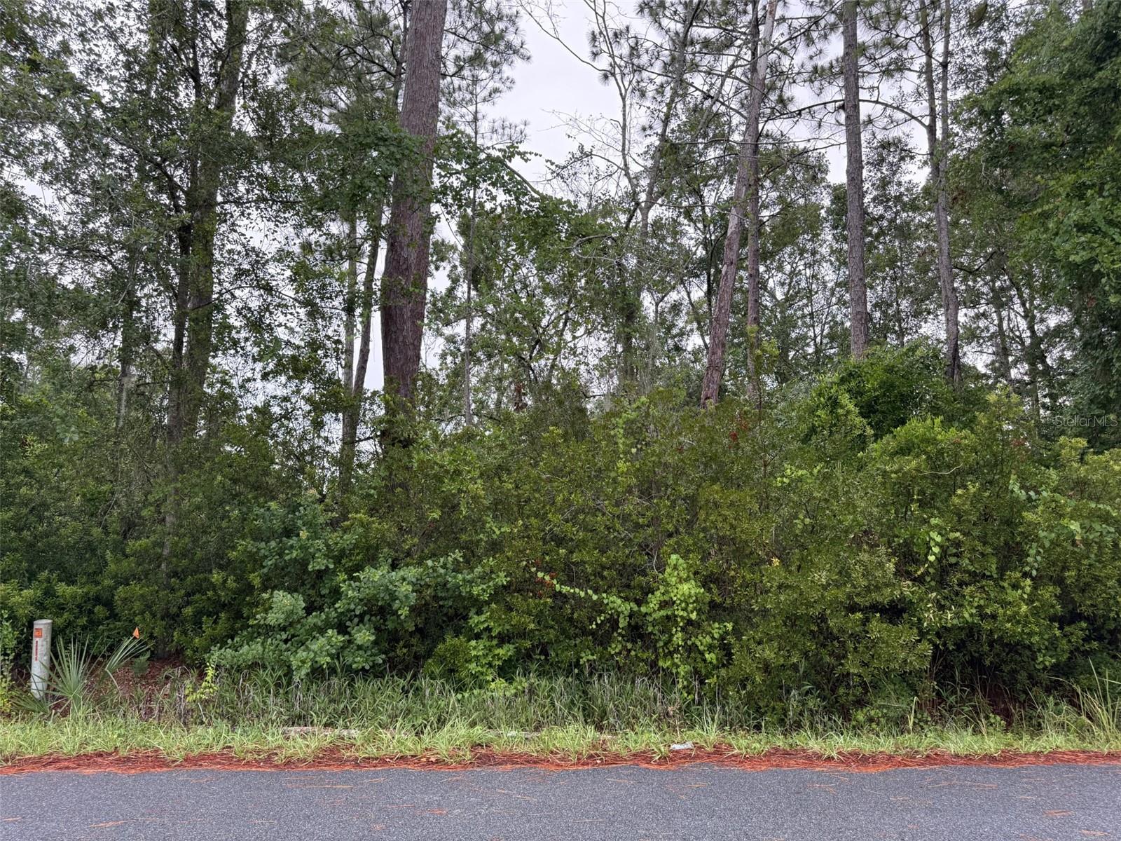 Photo of TBD REDWOOD TRACK COURSE OCALA FL 34472