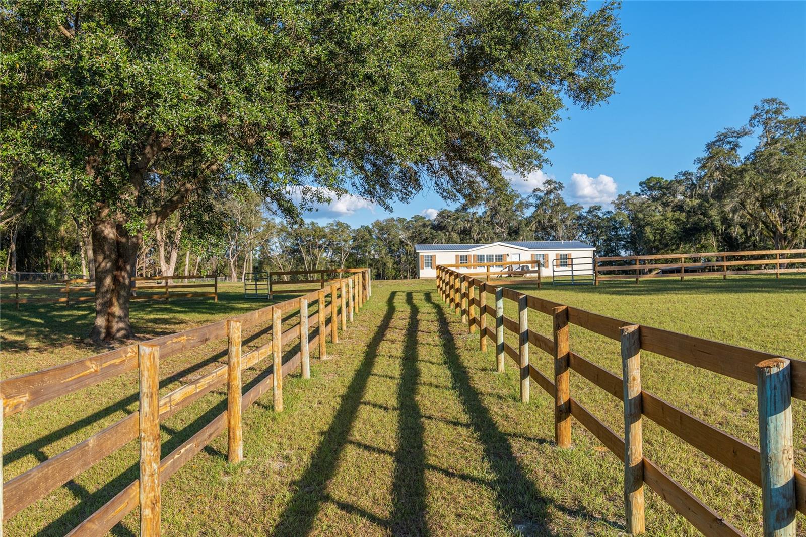 Photo of 3291 SE 188TH TERRACE MORRISTON FL 32668