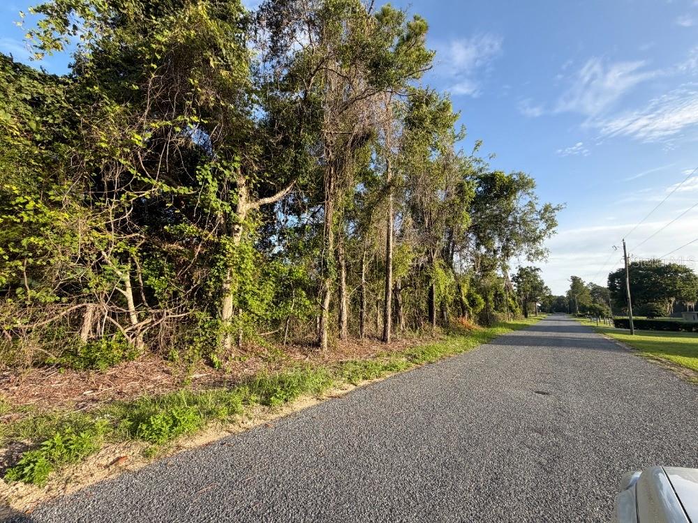 Photo of NE 160TH AVE WILLISTON FL 32696