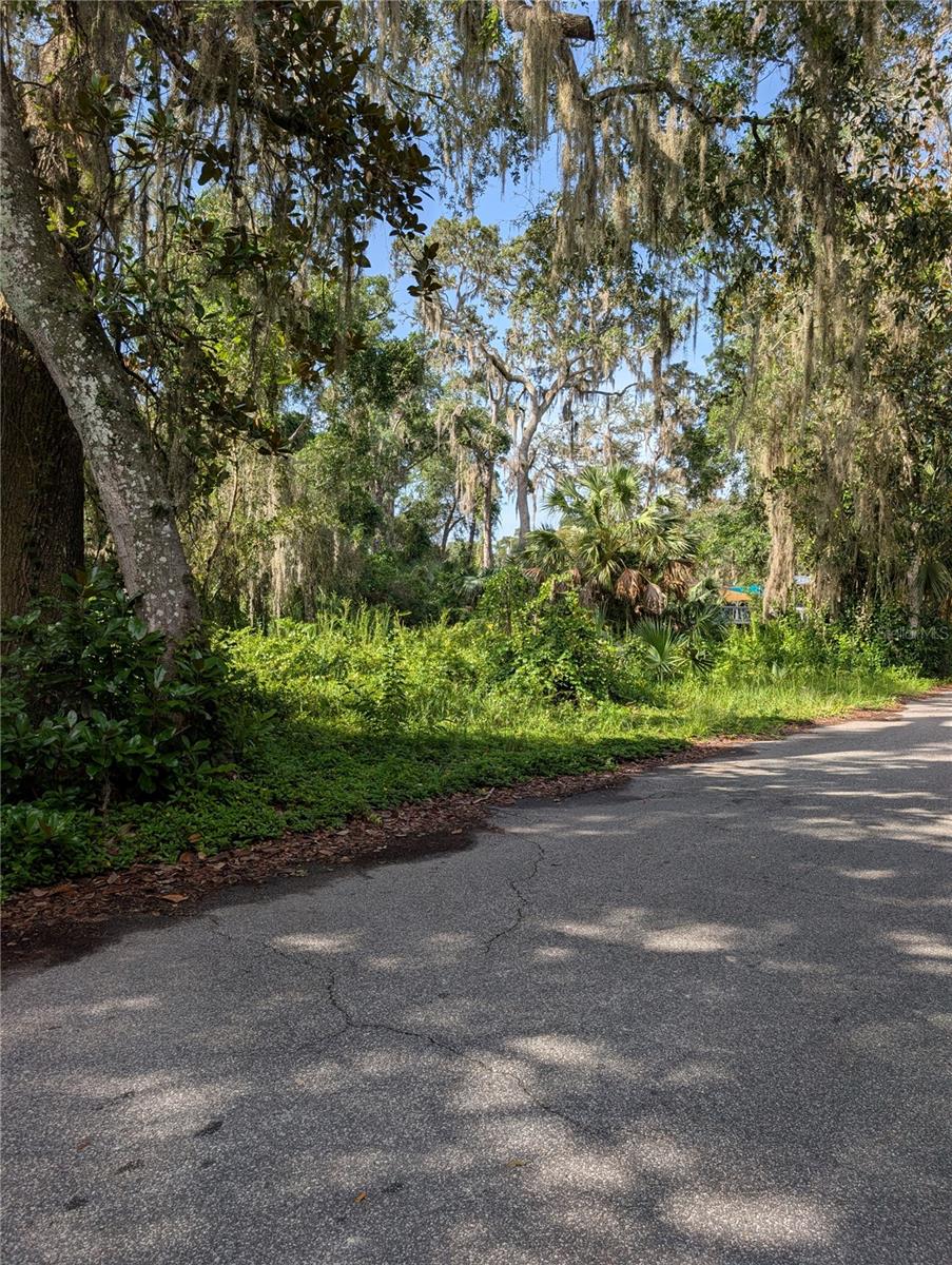 Photo of 6650 N BEECHNUT LOOP HERNANDO FL 34442
