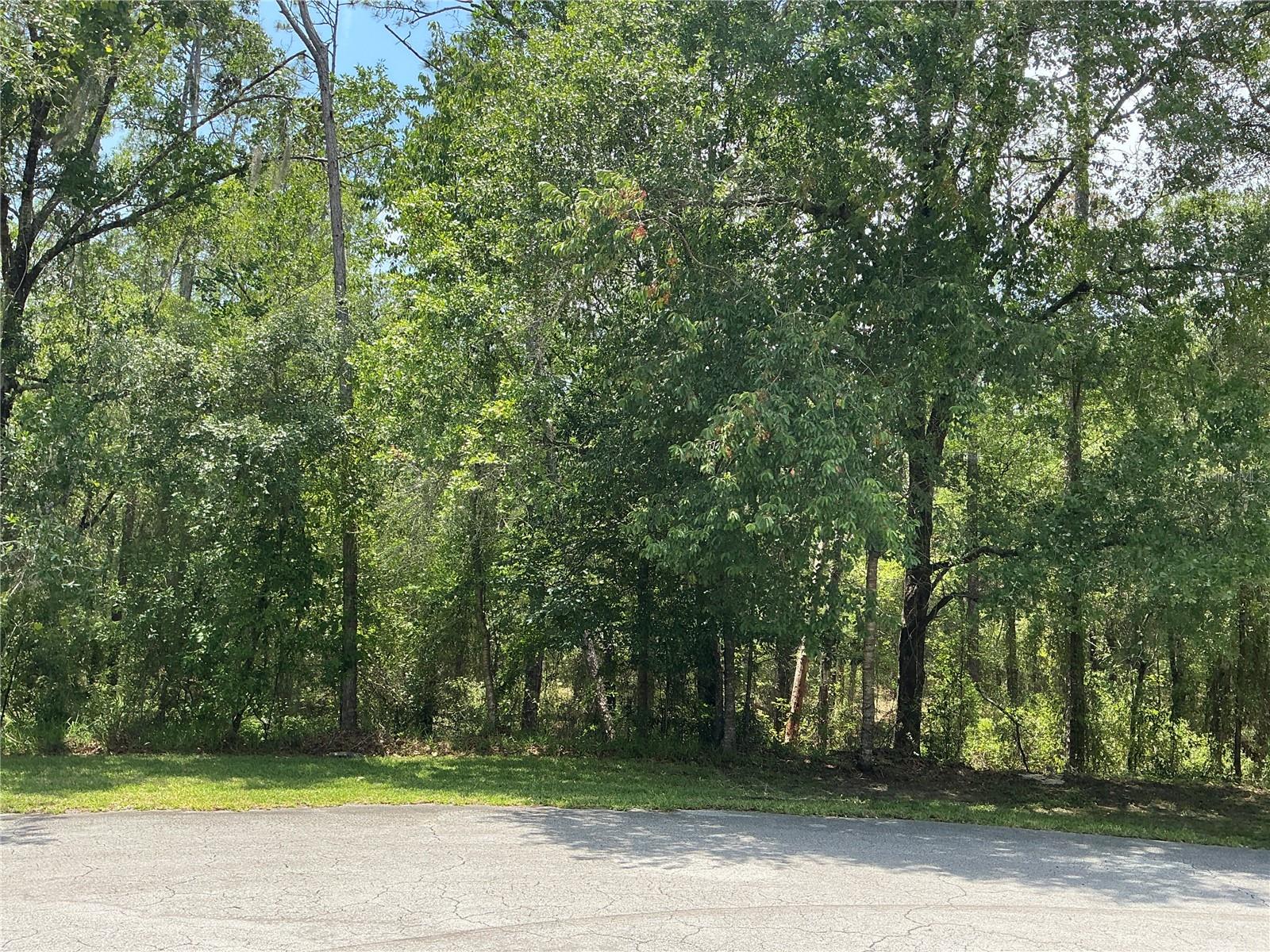 Photo of SW 90TH PLACE DUNNELLON FL 34431
