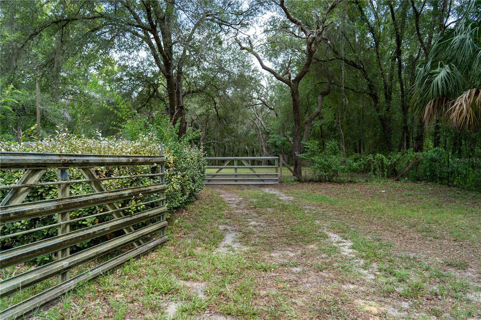 Photo of 1338 E BELMONT PLACE HERNANDO FL 34442