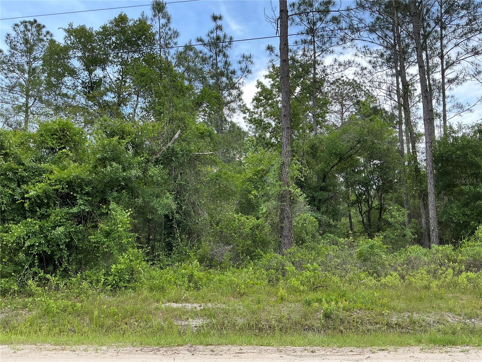 Photo of 10730 BECKENGER AVENUE HASTINGS FL 32145