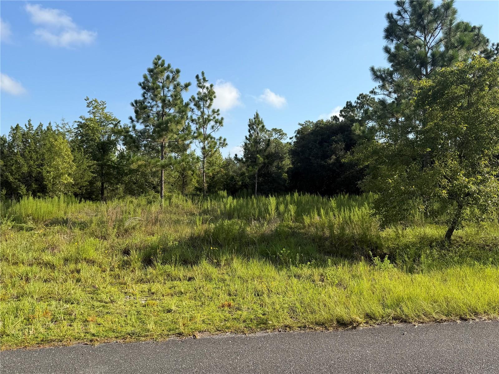 Photo of 35TH STREET MORRISTON FL 32668
