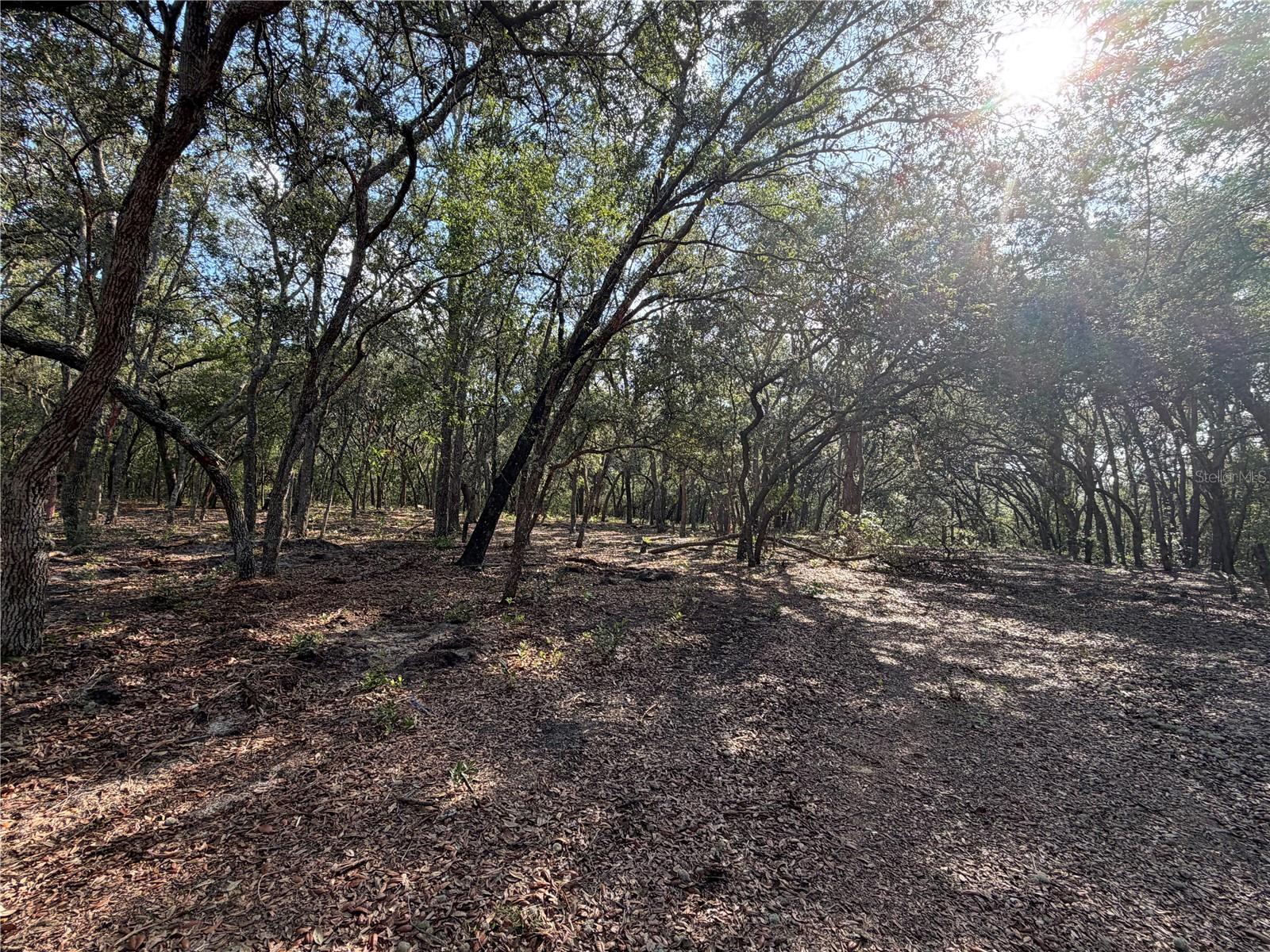 Photo of 103 SW 53RD AVENUE INTERLACHEN FL 32148