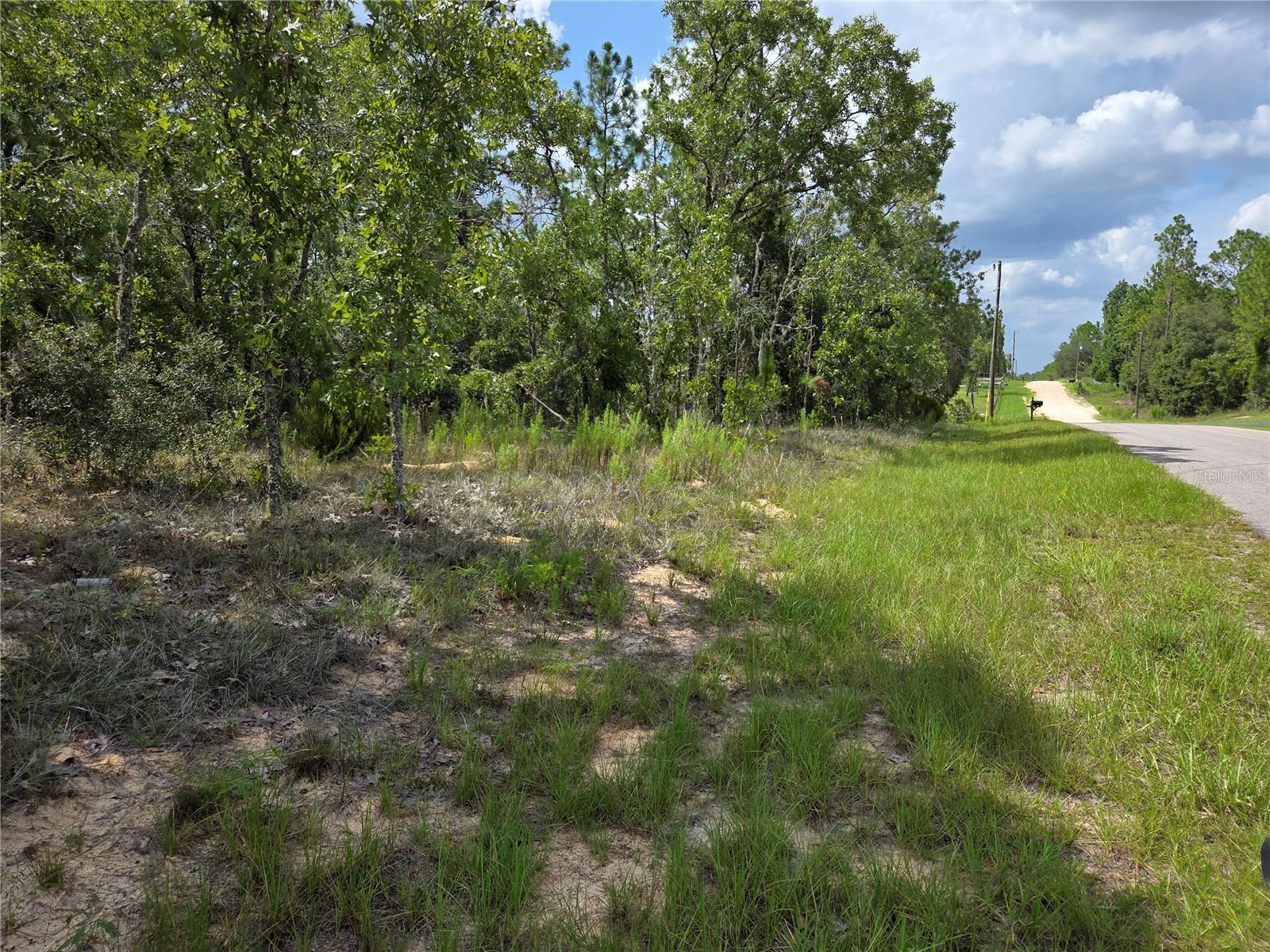 Photo of 0000 NE 150TH AVENUE WILLISTON FL 32696