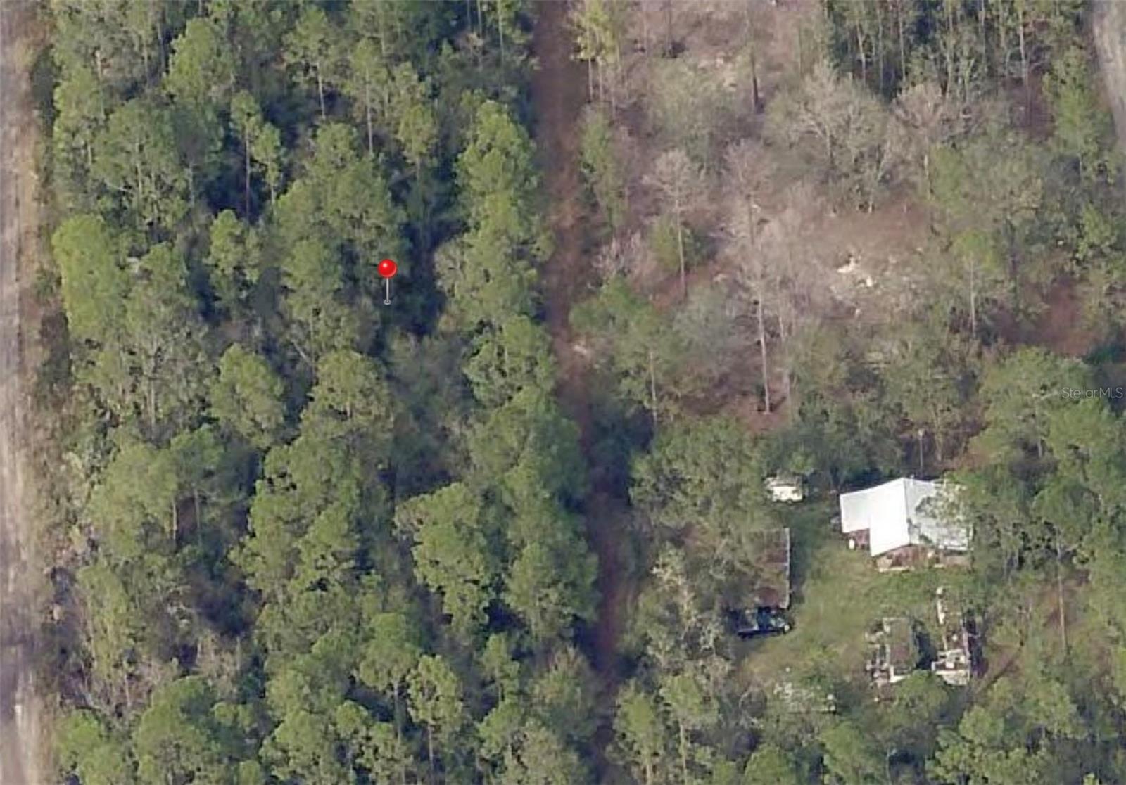 Photo of 00 NE 65TH AVENUE CITRA FL 32113