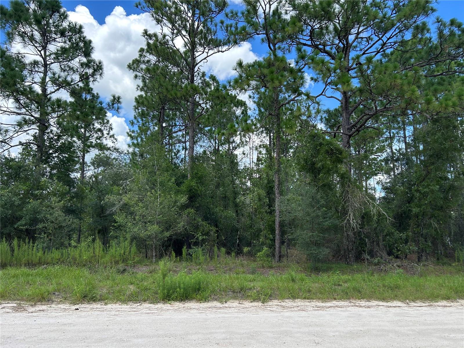 Photo of 0000 SE 25TH STREET MORRISTON FL 32668