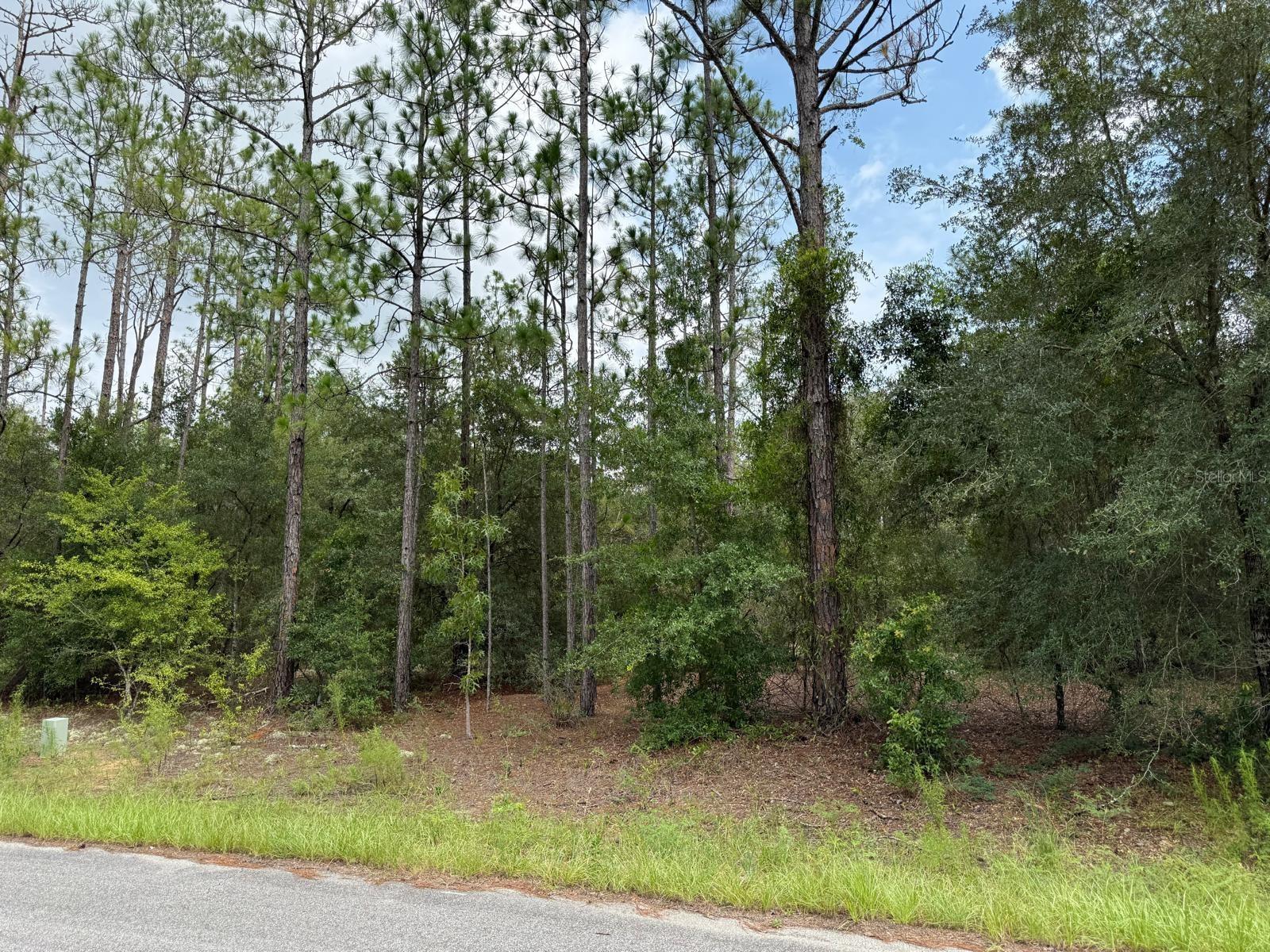 Photo of 6461 N ELNORA WAY CITRUS SPRINGS FL 34433