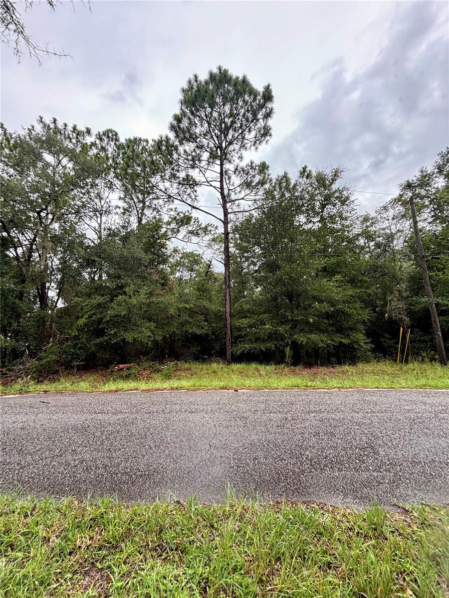 Photo of Lot 28 SW 206 CIRCLE DUNNELLON FL 34431