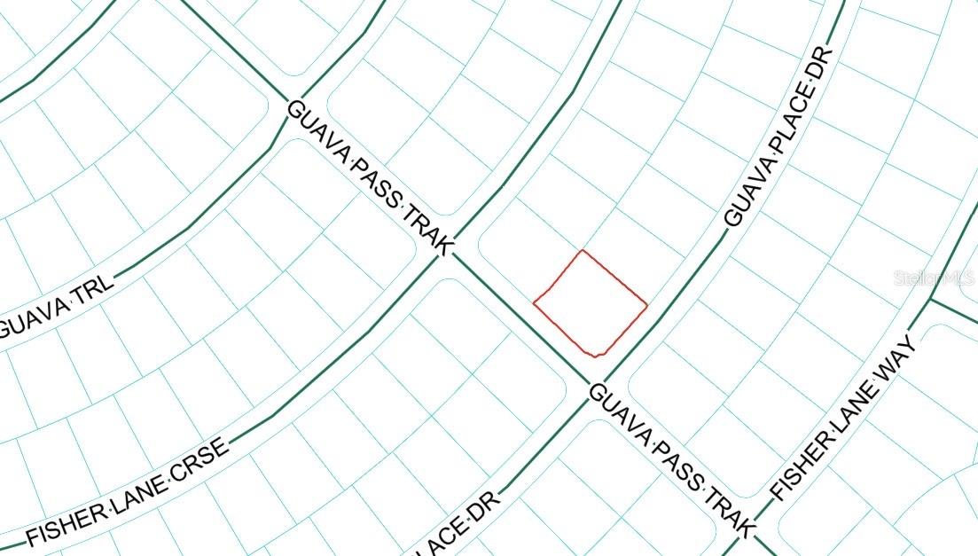 Photo of GUAVA PLACE DRIVE OCKLAWAHA FL 32179