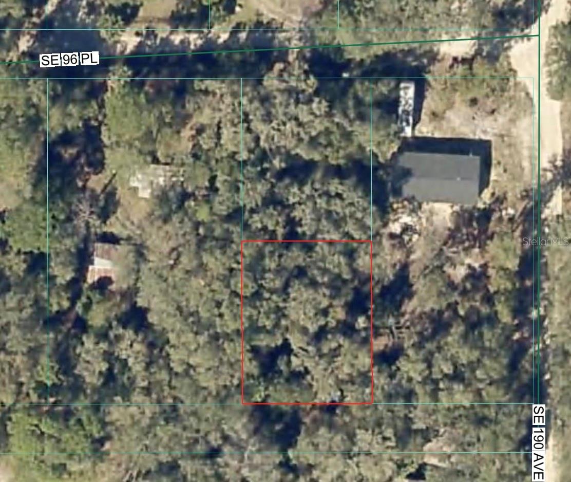 Photo of SE 96 PLACE OCKLAWAHA FL 32179