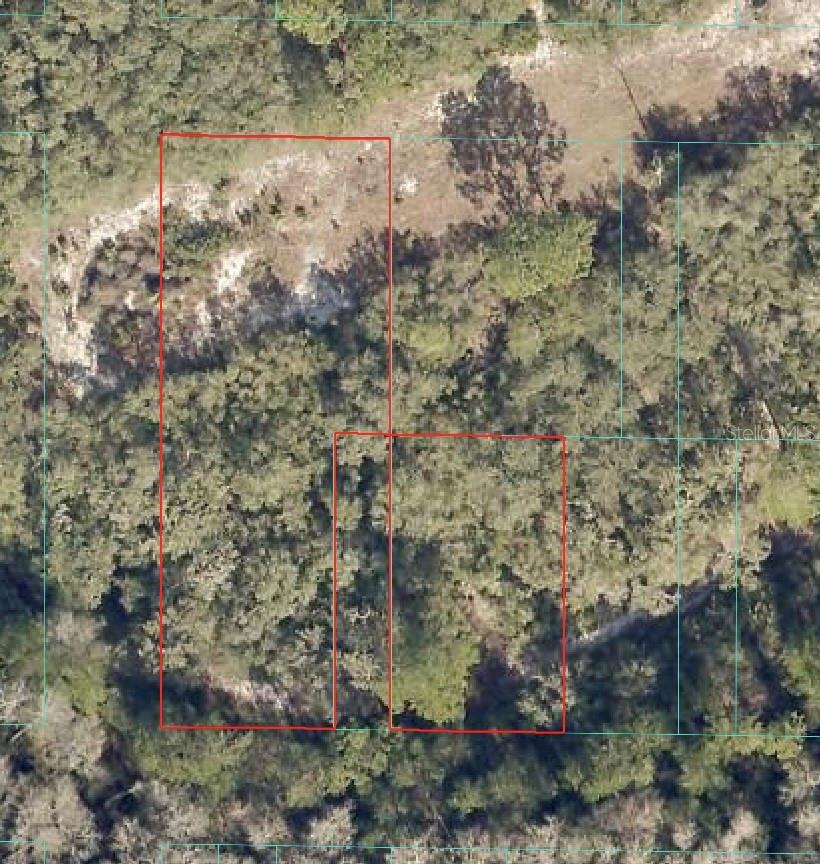 Photo of NE 151 LANE FORT MC COY FL 32134