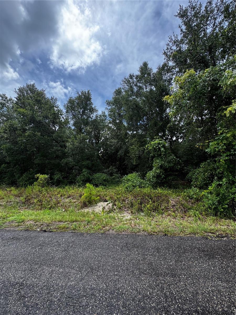 Photo of 00 SE 115TH PLACE RD. OCKLAWAHA FL 32179
