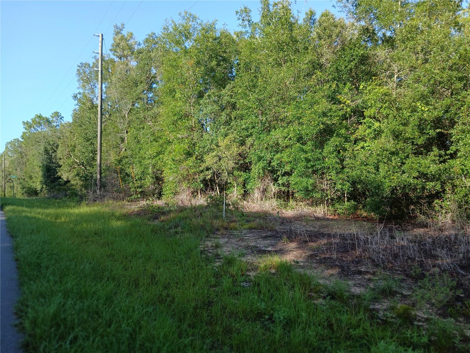 Photo of 10762 N ACADEMY DRIVE CITRUS SPRINGS FL 34434