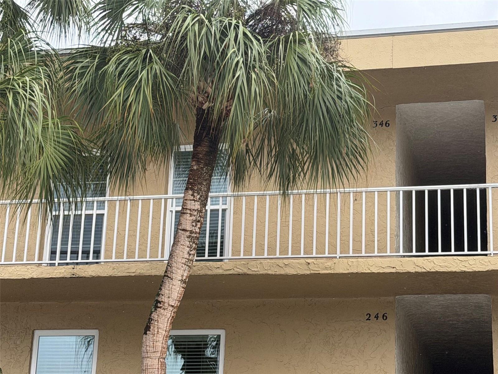 Photo of 225 COUNTRY CLUB DRIVE #E346 LARGO FL 33771