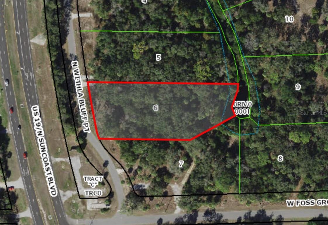 Photo of 11043 N WITHLA BLUFF POINT INGLIS FL 34449