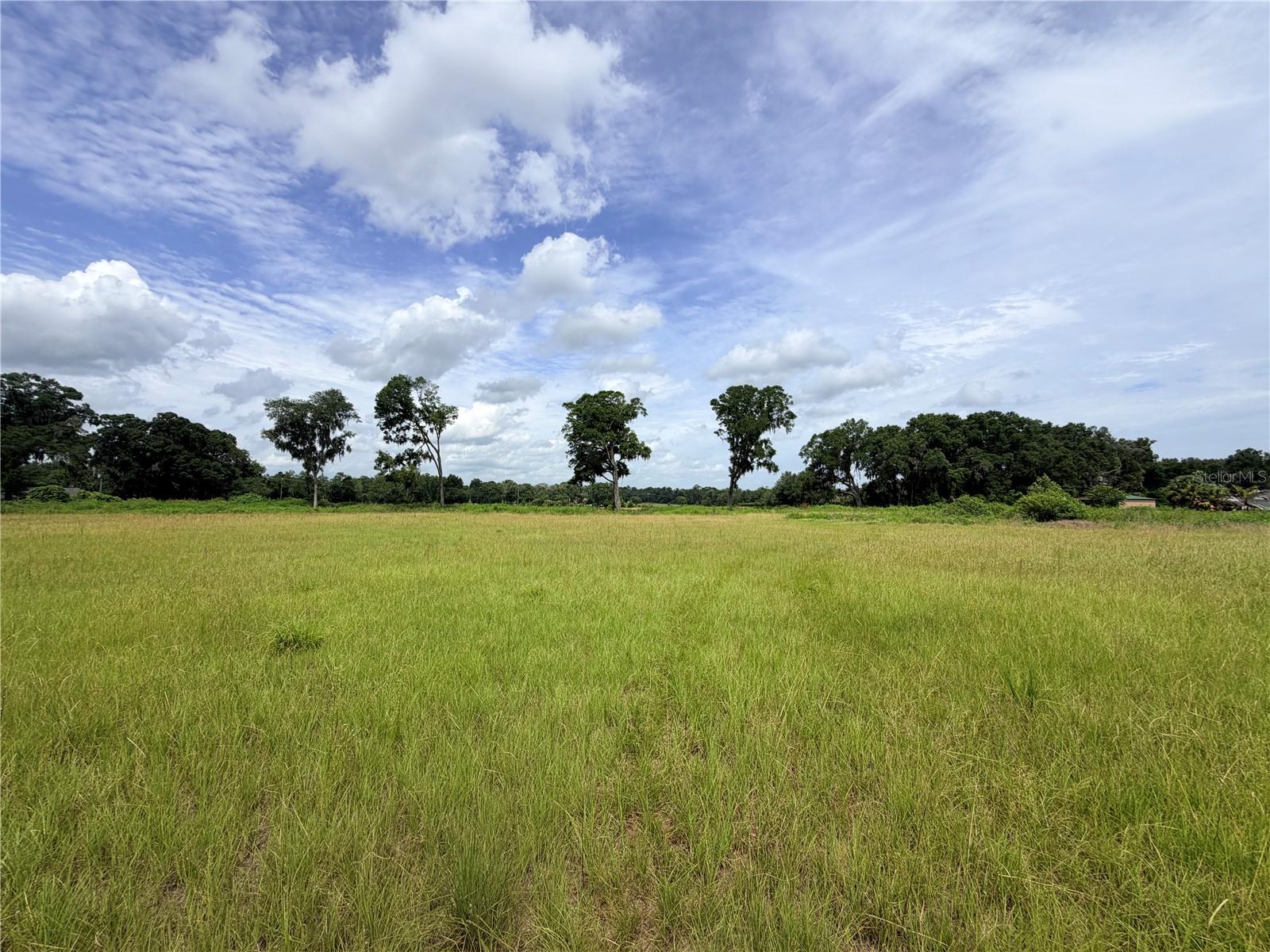 Photo of N HWY 441 CITRA FL 32113