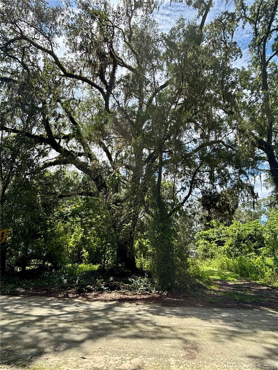Photo of Lot 28 SW 109 LANE DUNNELLON FL 34432