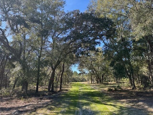 Photo of TBD NE 150TH AVE ROAD #LOT 5 FORT MC COY FL 32134