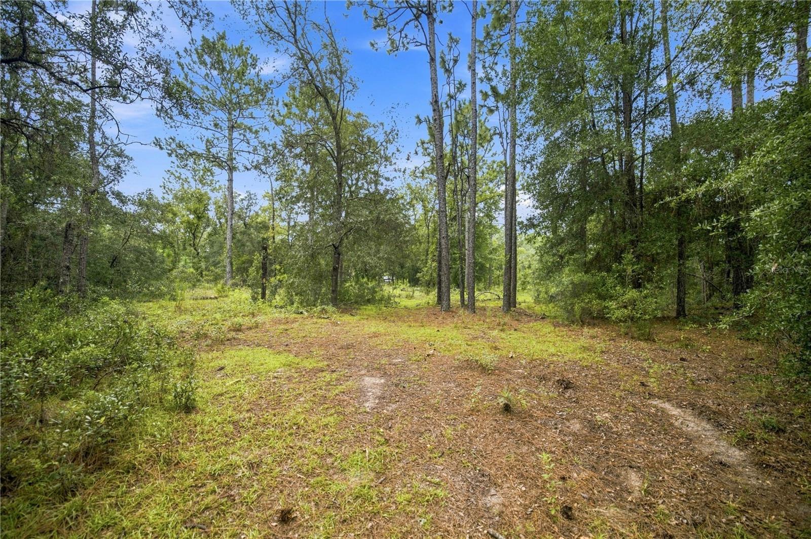 Photo of 21350 SE 66TH STREET MORRISTON FL 32668