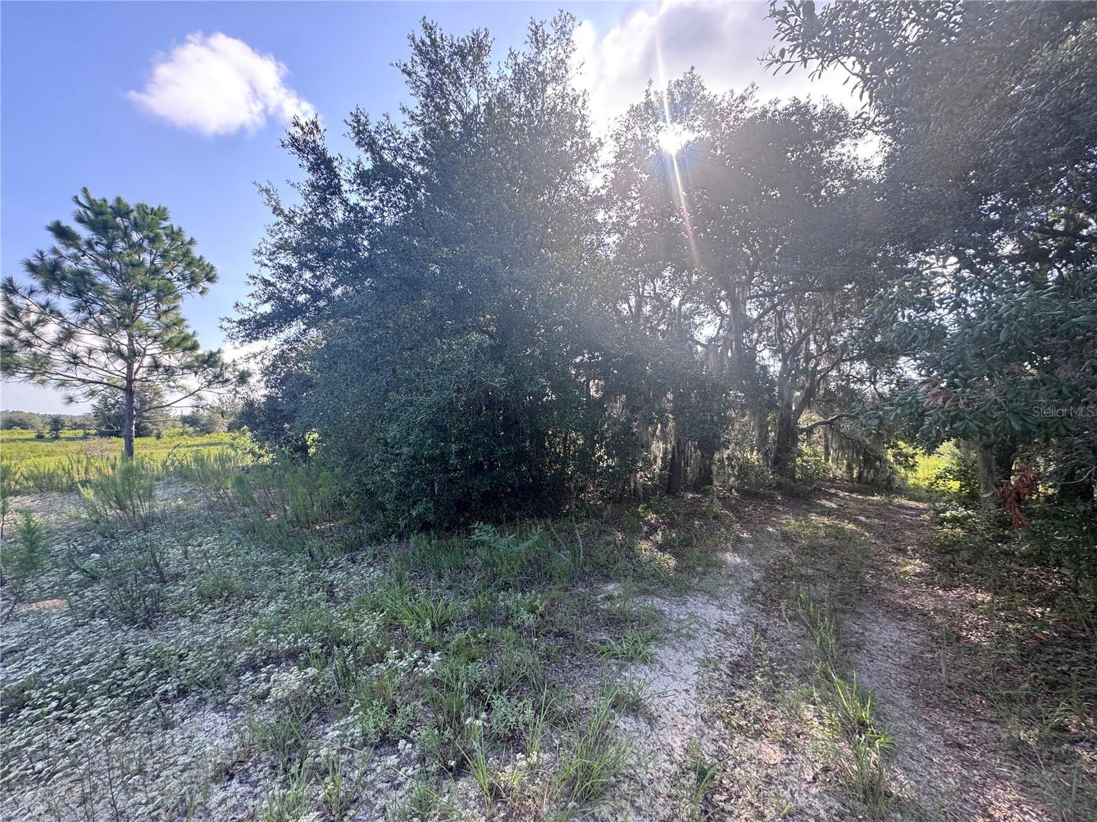 Photo of 2251 E FOUR SEASONS LANE INVERNESS FL 34453