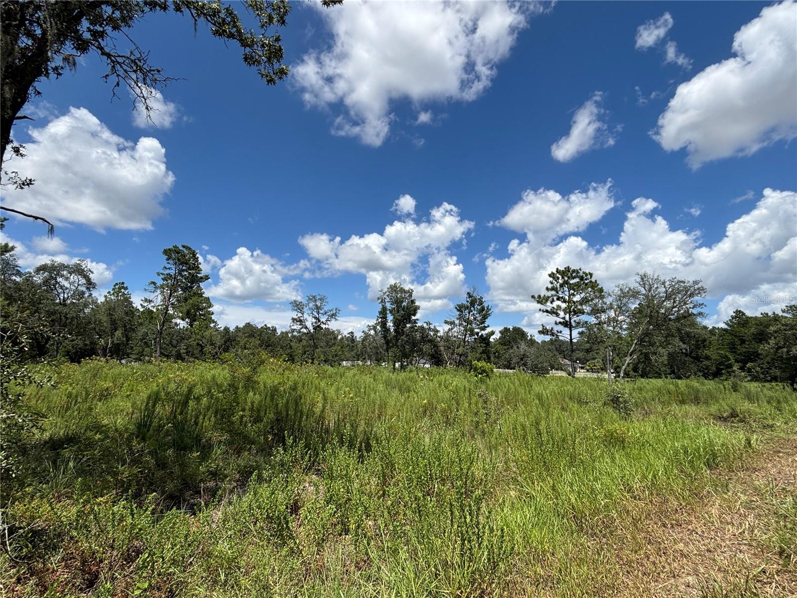 Photo of 12601 SW 98TH STREET DUNNELLON FL 34432