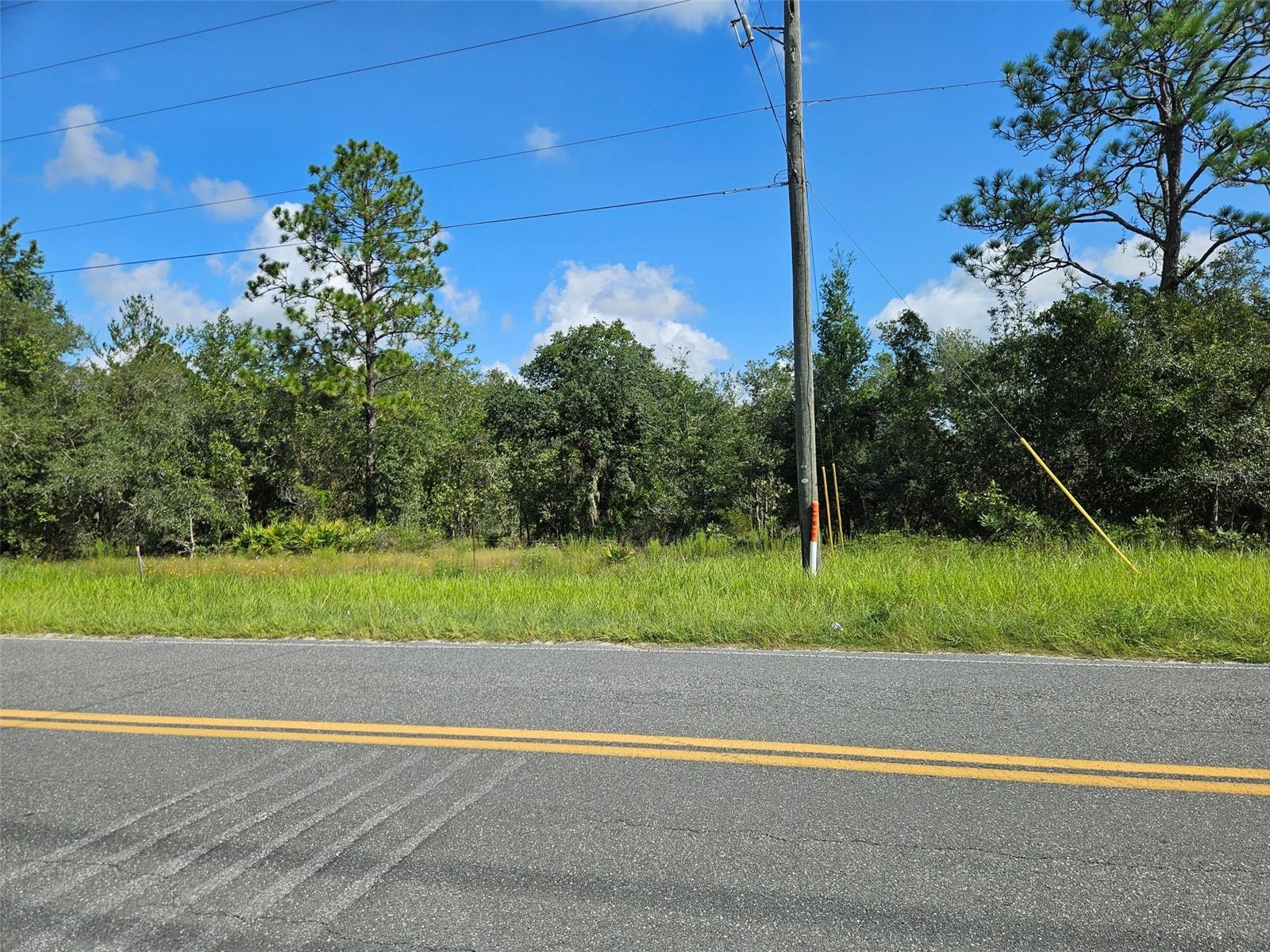 Photo of 0000 NE 60TH STREET BRONSON FL 32621