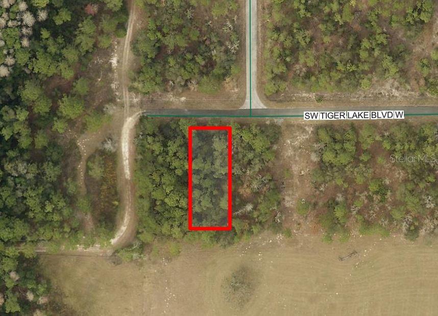 Photo of 0 SW TIGER LAKE BOULEVARD DUNNELLON FL 34432