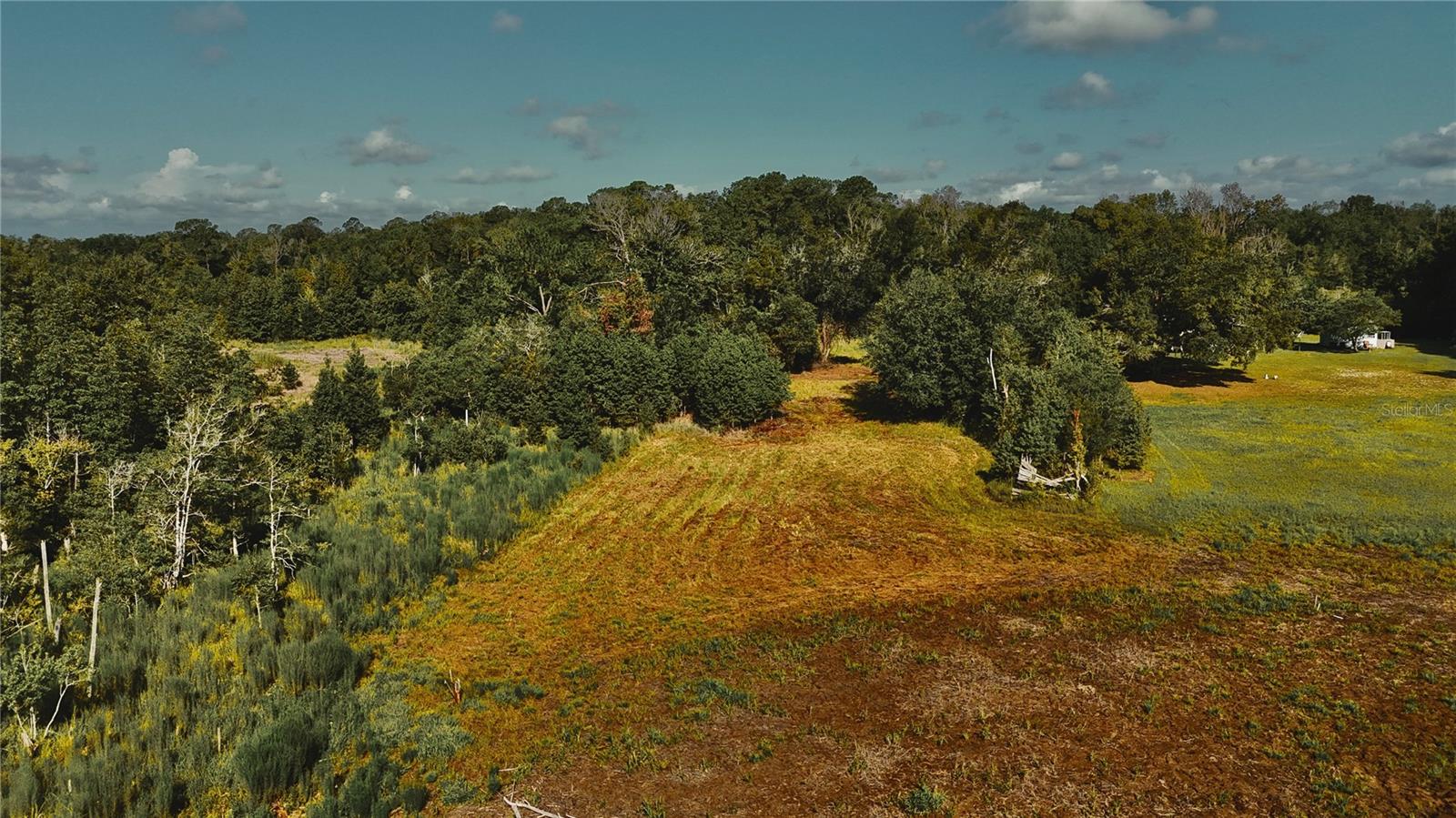 Photo of 00 HALL LAKE ROAD KEYSTONE HEIGHTS FL 32656