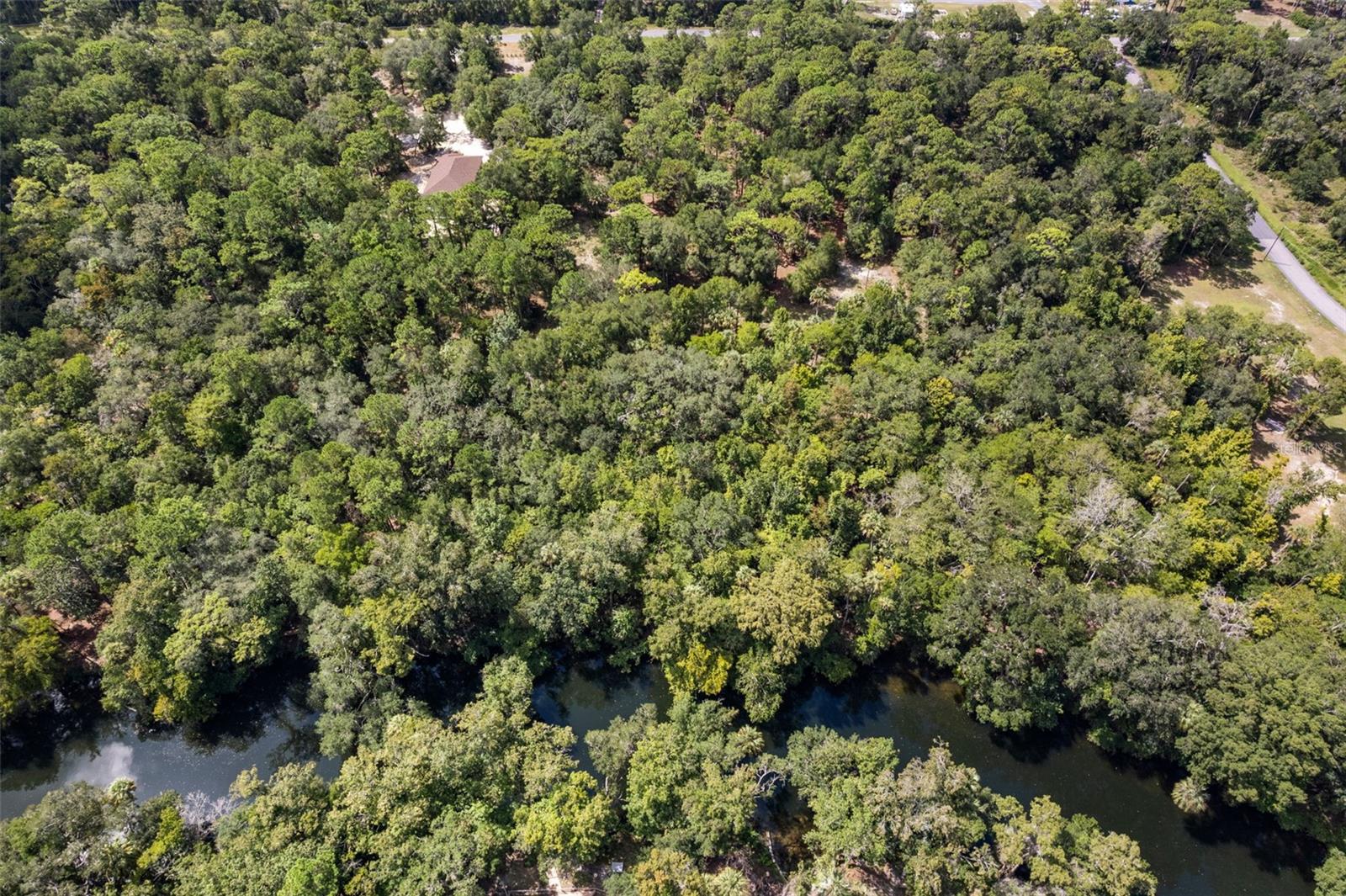 Photo of 13707 W FOSS GROVES PATH INGLIS FL 34449