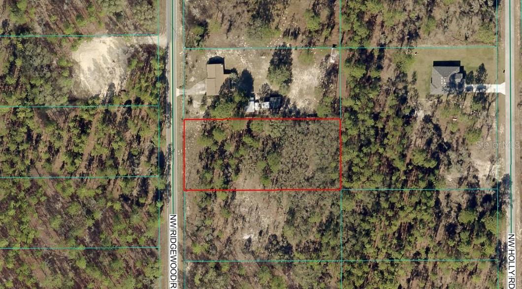 Photo of TBD LOT 29 SW RIDGEWOOD ROAD DUNNELLON FL 34431