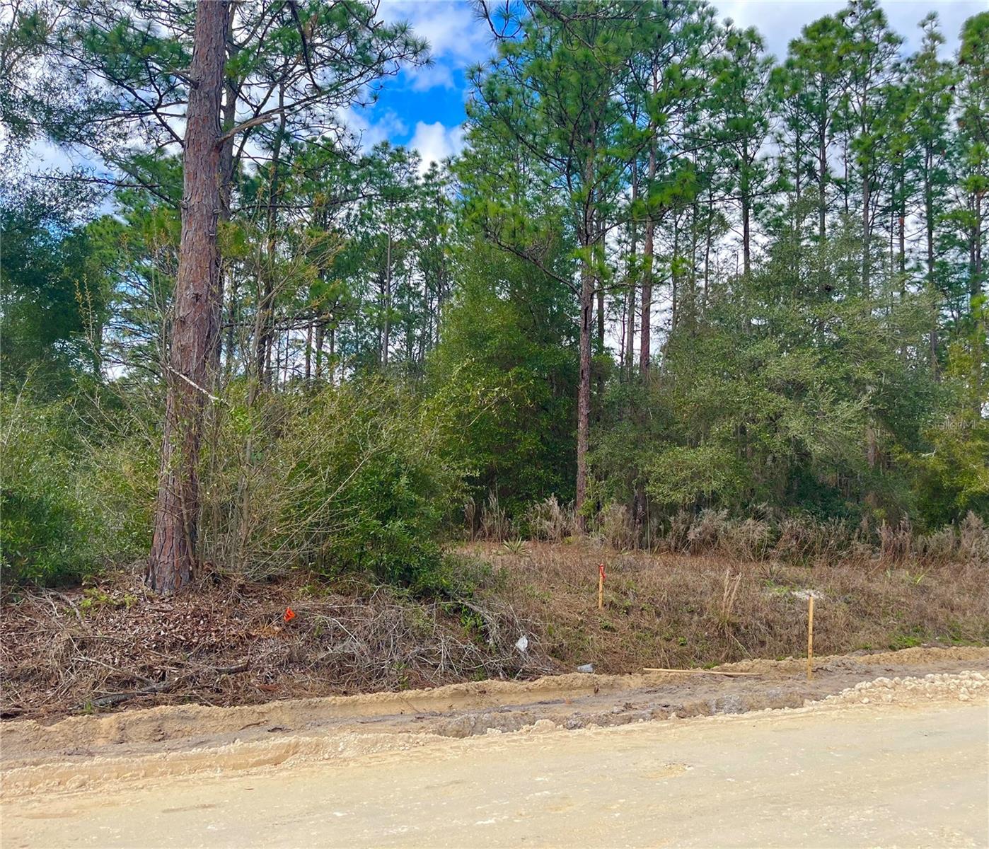 Photo of 0 SW 152ND TERRACE OCALA FL 34481
