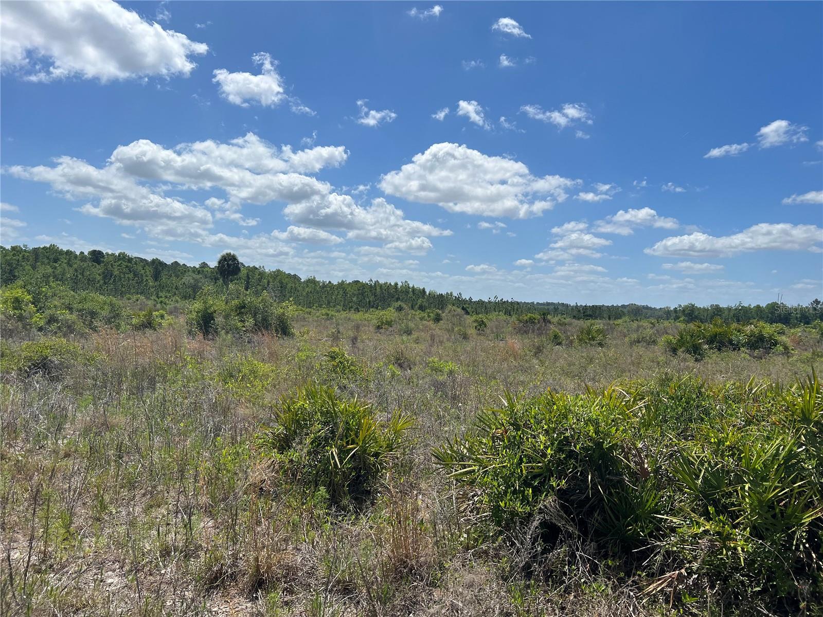 Photo of HWY 40 DUNNELLON FL 34430
