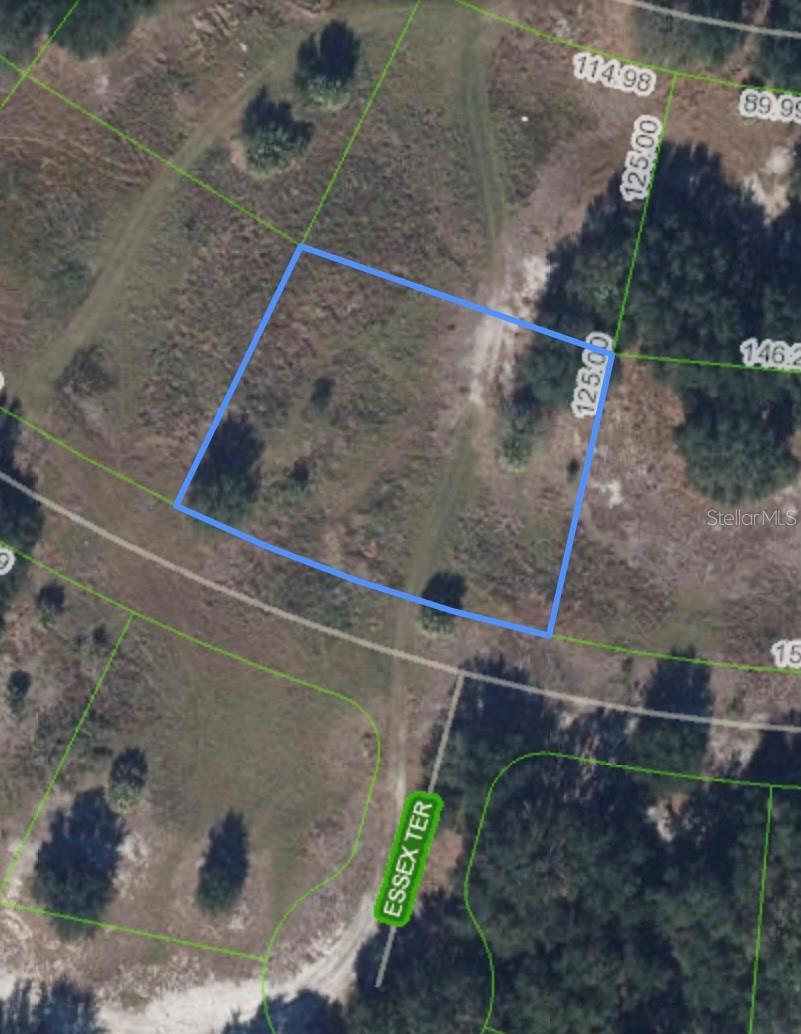 Photo of 6909 ESSEX WAY SEBRING FL 33876