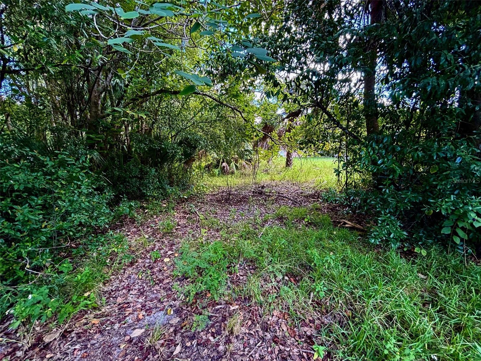 Photo of 404 GROVE STREET MELROSE FL 32666