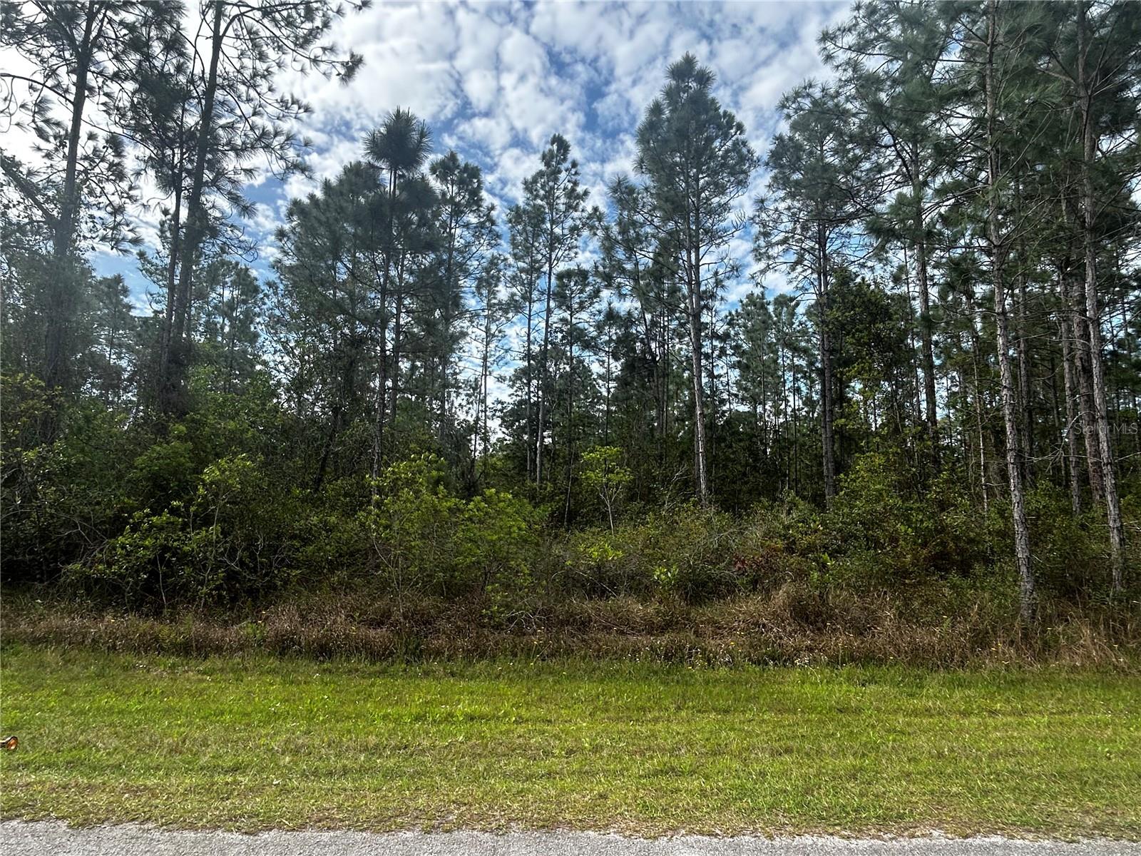 Photo of 207 GARDENIA DRIVE LAKE WALES FL 33855