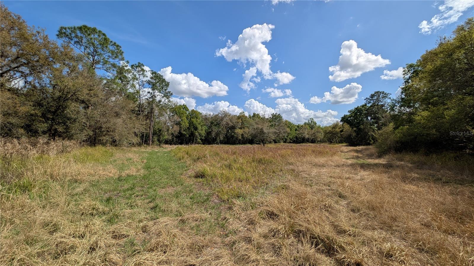 Photo of GILLETTE ROAD ZOLFO SPRINGS FL 33890